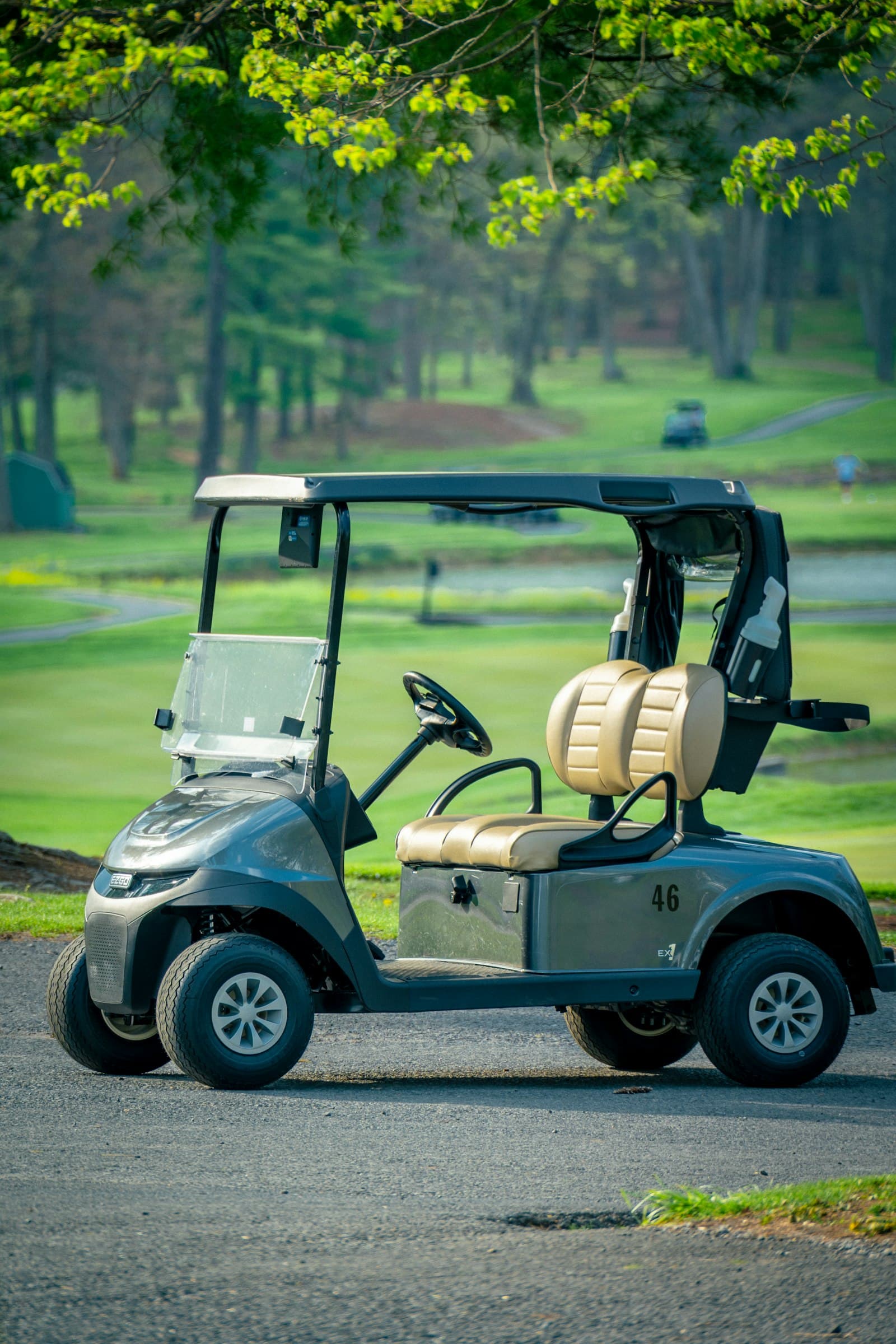 A gray golf cart parked on a paved cart path beside a golf course fairway